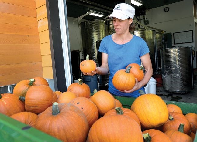 Pumpkin-harvest.26.jpg