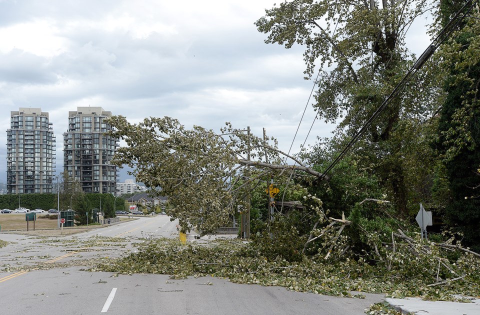 Wind storm