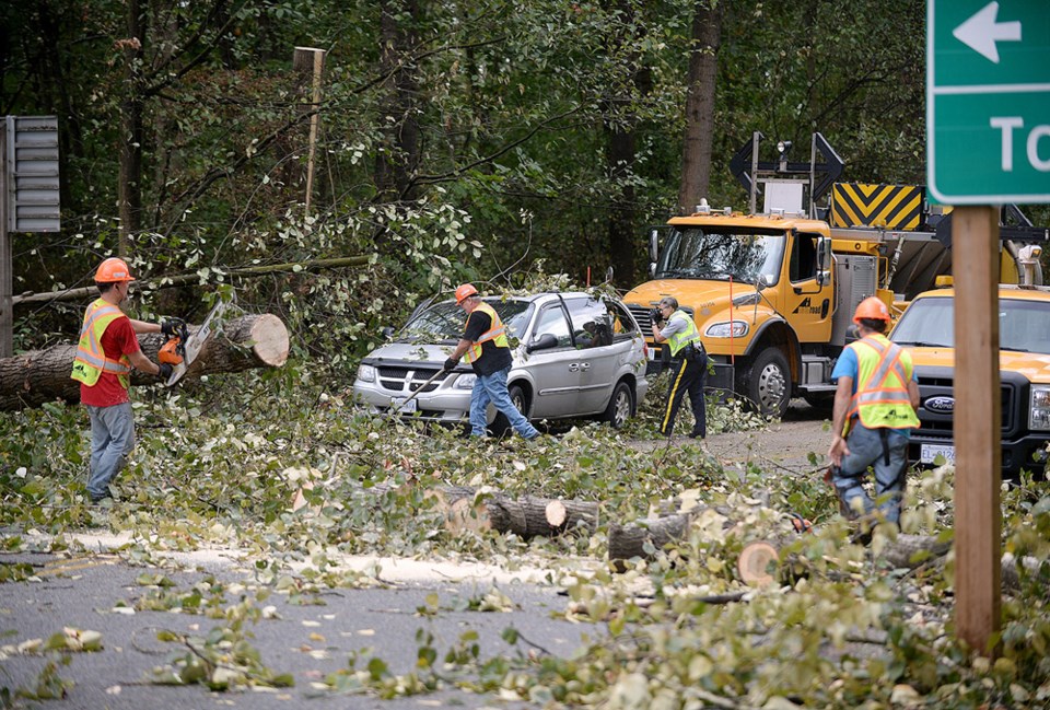 PHOTOS: Burnaby weathers the storm_7