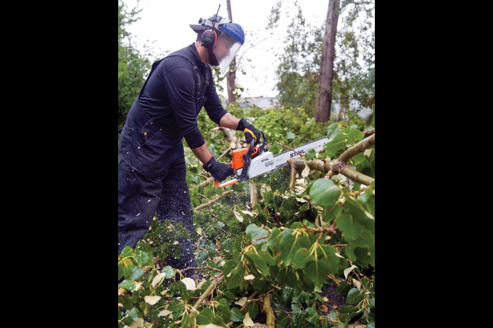 Ladner Harbour Master Chris Lougheed cuts up a fallen 40-foot tree Monday that was blocking Mcneely’s Way.