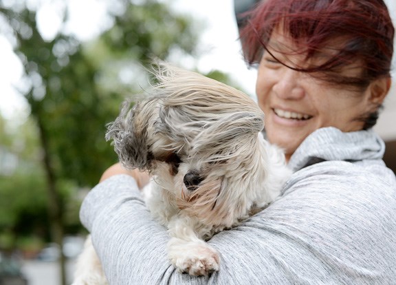Tigger the dog struggles during the windstorm.