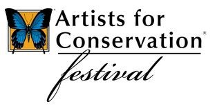 AFC Festival