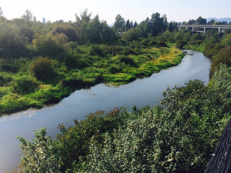 Central Valley Greenway