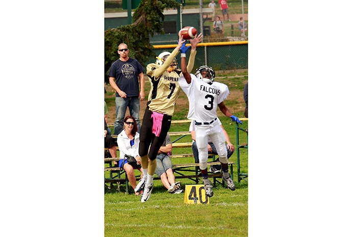 Coquitlam Falcons