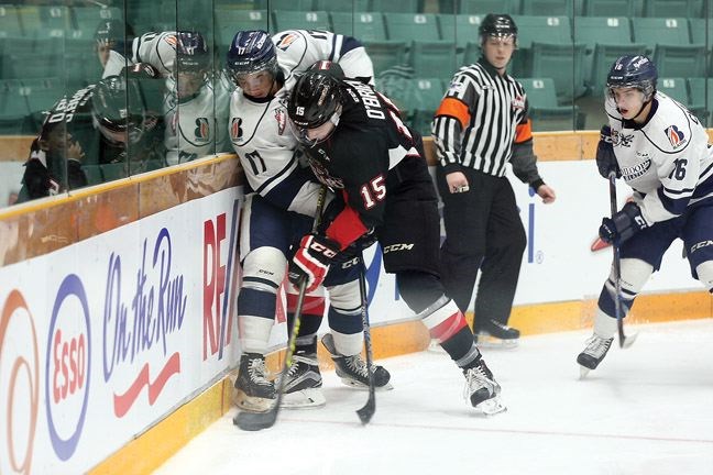 SPORT-cougars-blazers-prese.jpg