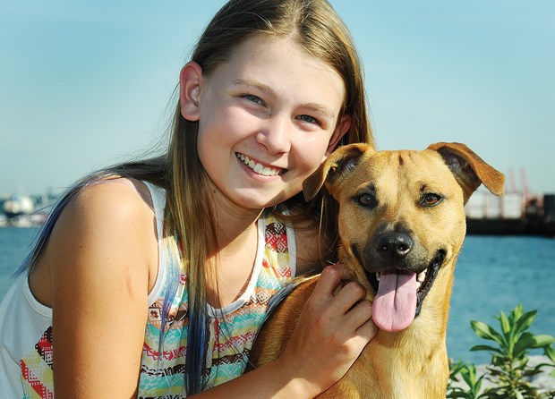 pet pause jada and harley