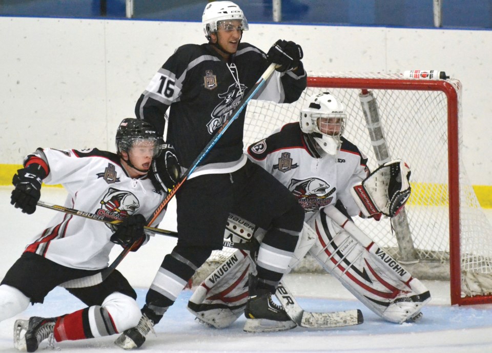 sockeyes