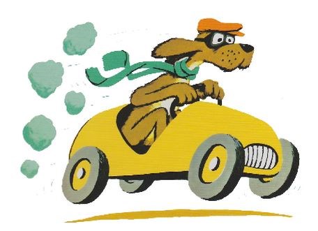Go Dog Go!