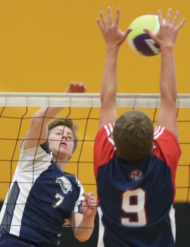 SPORTS-CHSS-Cougars-boys-vb.jpg