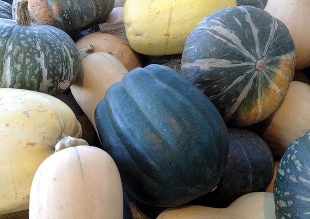 squash