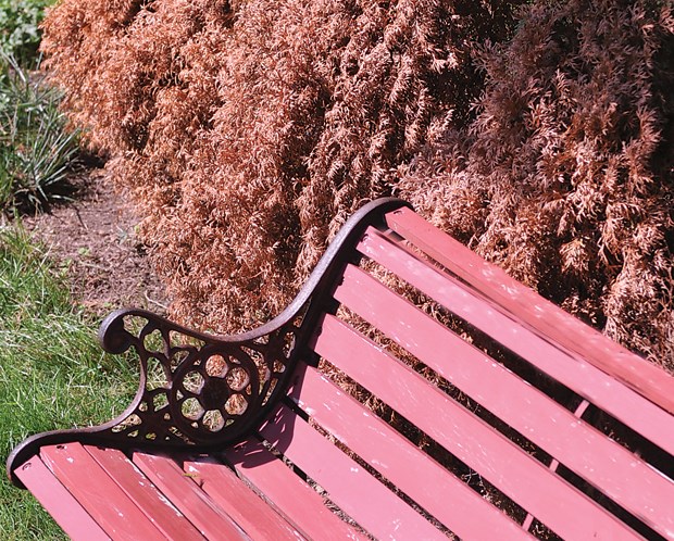 Replanting required in light of summer drought