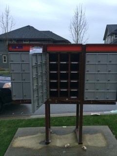 mailbox theft