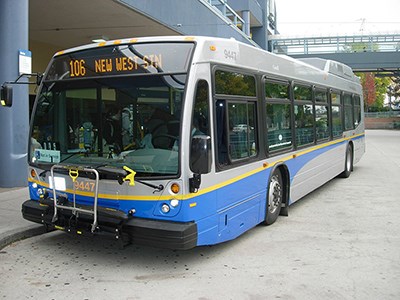 bus