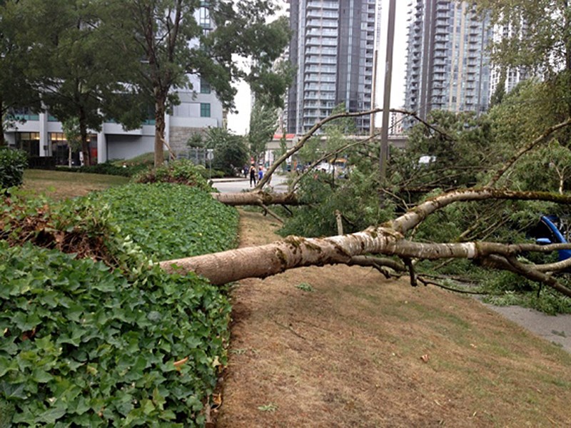 WINDSTORM