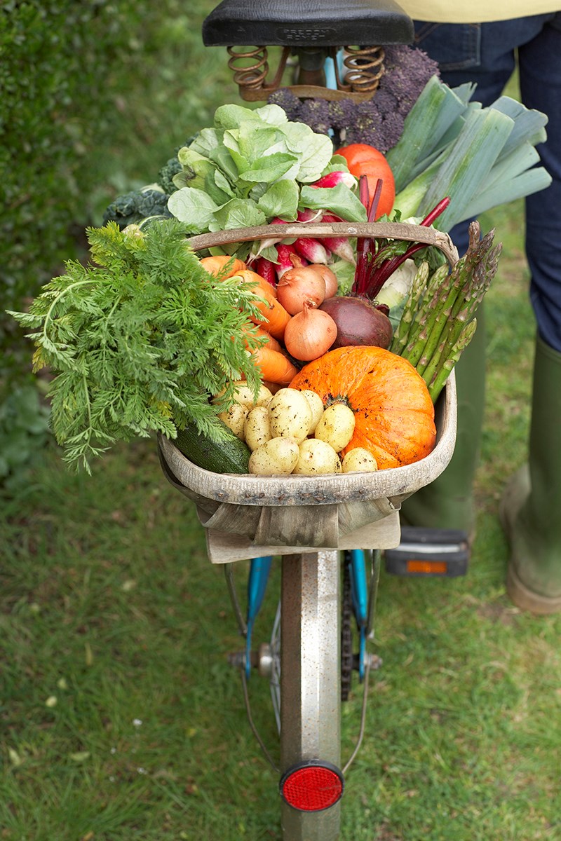 harvest