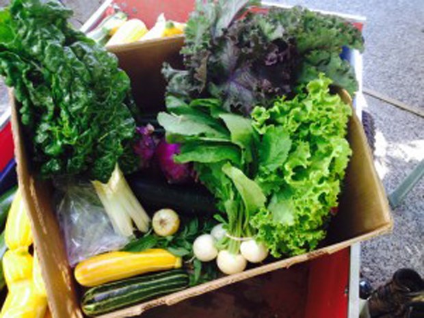 Harvest Box