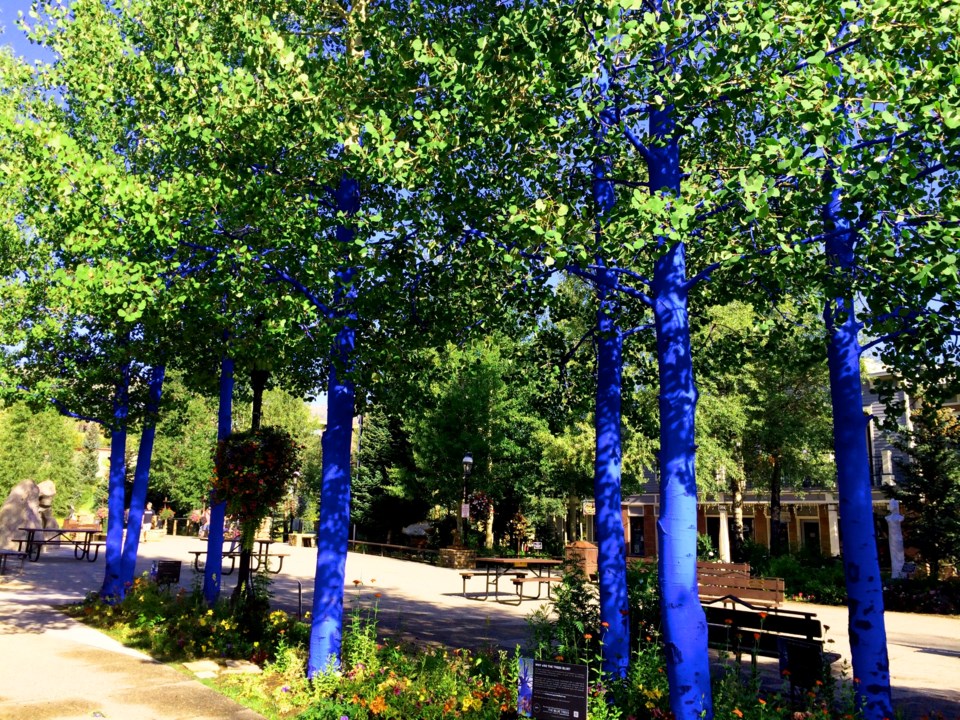 blue trees