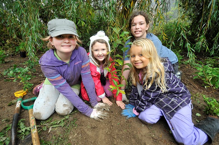 From left, Kendall, 12, Rowynn, 5, Natalie, 12, and Kamryn, 6 were among the volunteers at the fifth annual TD Tree Day planting event in New Westminster’s Hume Park.