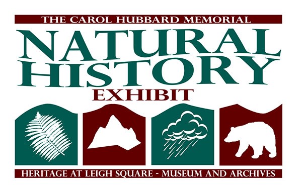 Logo Natural History