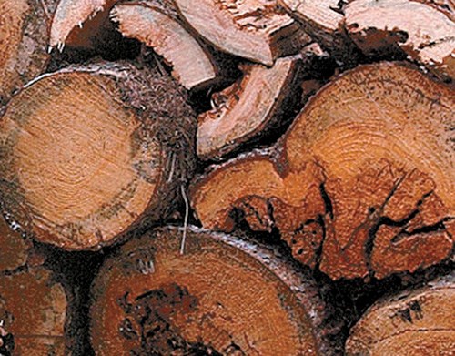 firewood