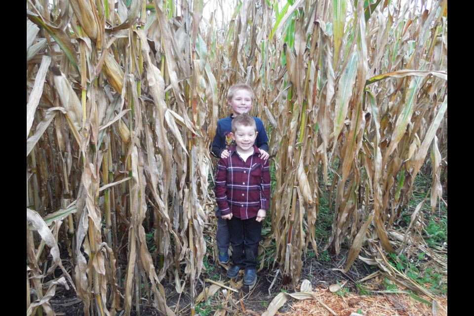 Logan Panter (tall) and Carter Thomas take a breather while navigating the corn maze at Galey Farms in Victoria. The farm held its annual Pumpkin Fest and Festival of Fear leading up to Halloween. Photo Sandra Thomas