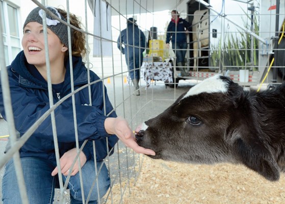 Marie Baars sits with week old baby bull Sam.