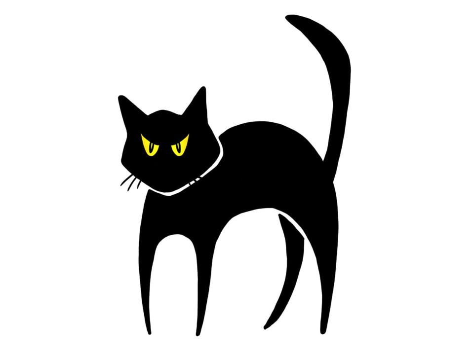 Halloween cat