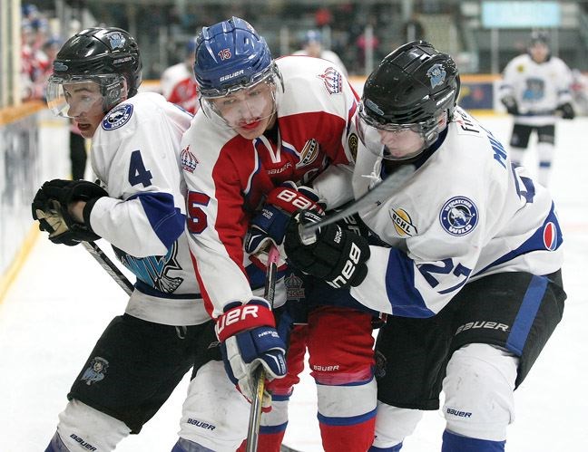 SPORTS-Kings-edge-Wild.jpg