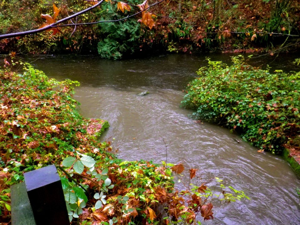 creek