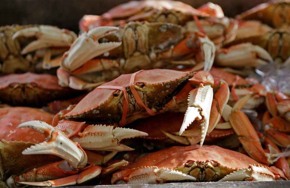 Crab Fishery Toxin.jpg