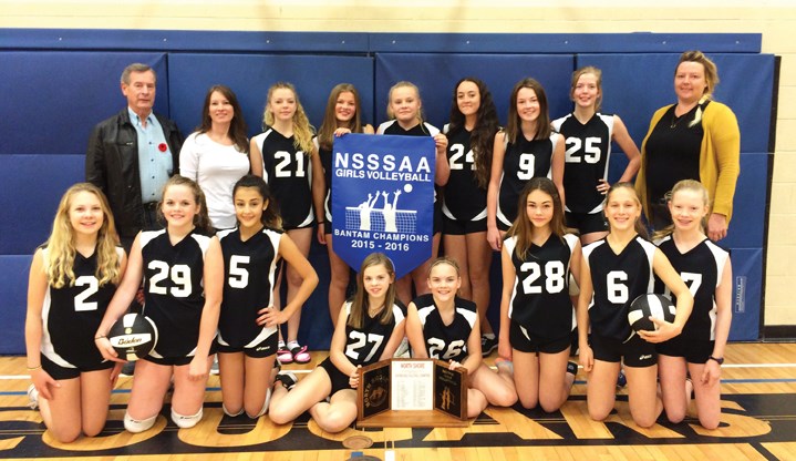 volleyball