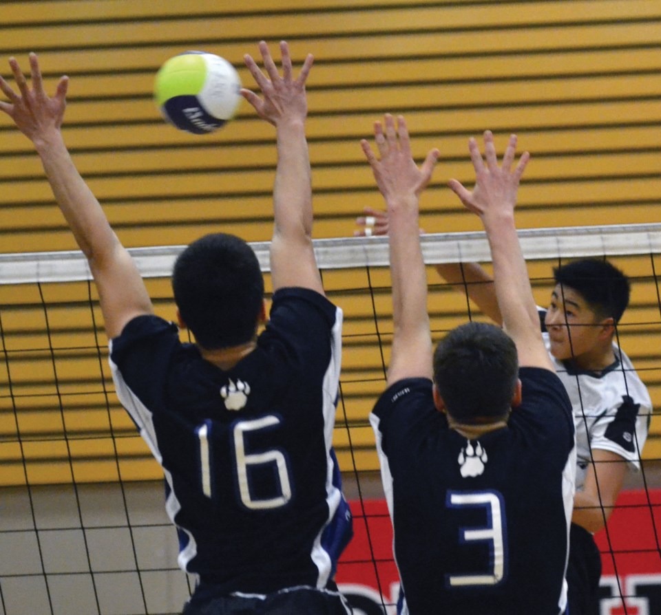 volleyball