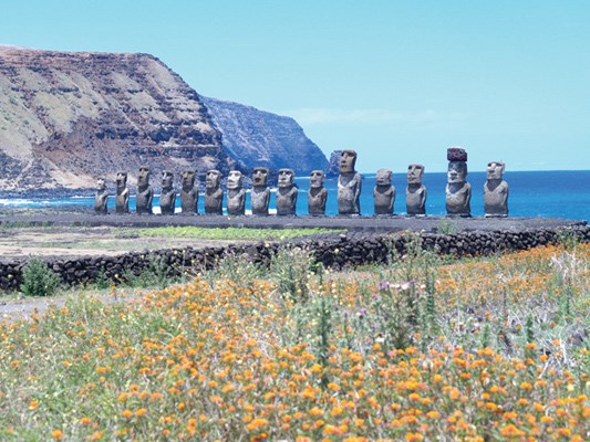In 1960 a massive tidal wave hit Easter Island's south coast destroying the Ahu Tongariki and sweeping the 15 moai on the platform inland. In the 1990s a Japanese team, working with Chilean archeologist Claudio Cristino, restored the ancient statues to their original positions.