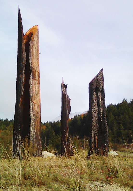 regeneration