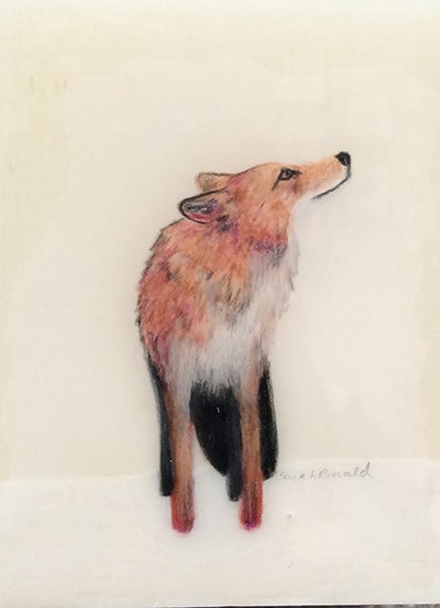 Fox in a Box