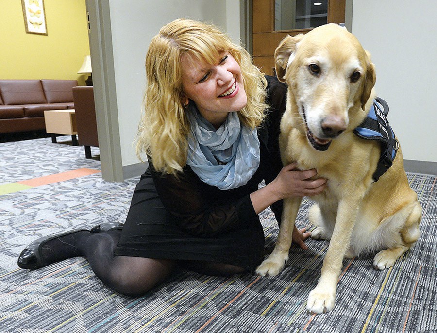 therapy dog