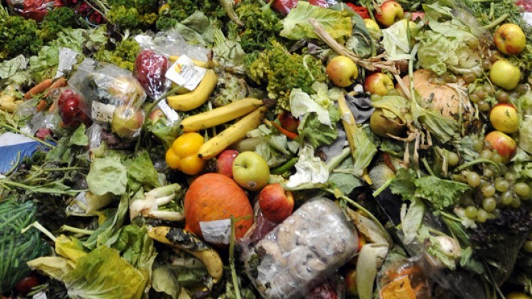 food waste