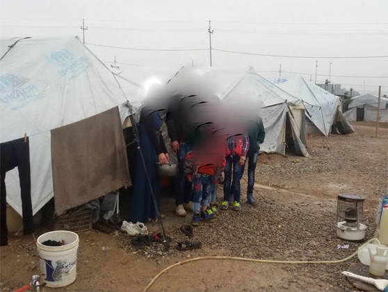 syrians