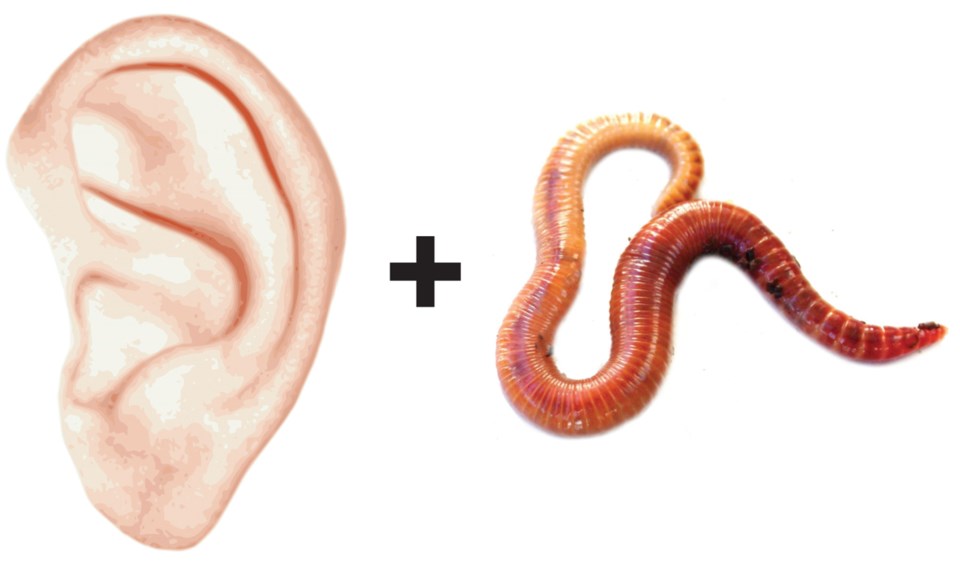 ear worm