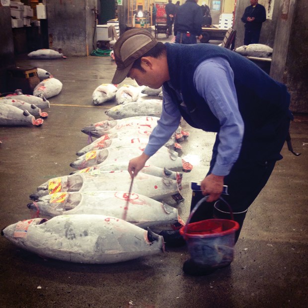 Tuna