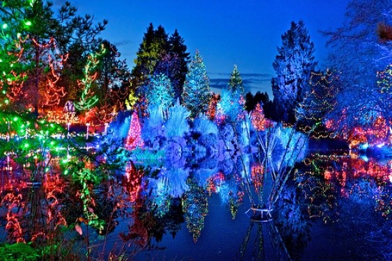christmas bright lights