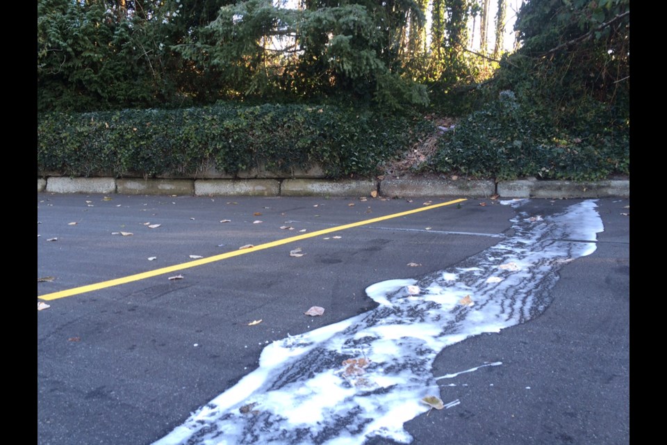 Firefighters foam running from the entrance to the woods by Gaglardi Way and Lougheed Highway .