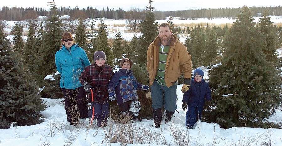 Christmas tree farm