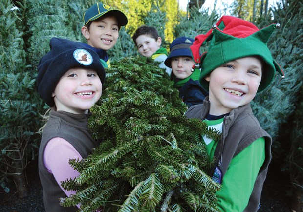 Scouts tree sale
