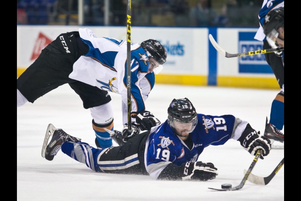 Victoria Royals' Dante Hannoun dives for the puck after being hauled down by Kootenay Ice's Austin Wellsby at Save-on-Foods Memorial Centre on Saturday night.
