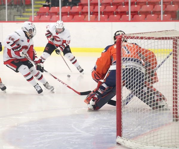 SPORT-cariboo-cougs.jpg