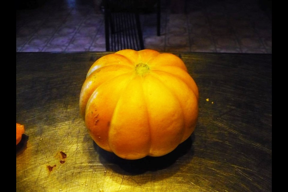 Andrew Adams of Hope Farms Organics successfully grew cantaloupe on his Prince George area farm. This is a Noir Melon, which heirloom seed was developed by French Monks.