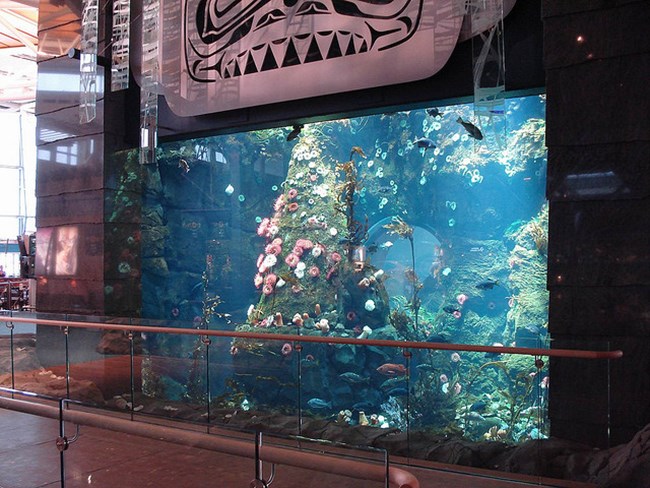 A 114,000-litre aquarium is among the projects Vancouver Airport Authority paid for by charging local passengers an airport improvement fee. Paul Bratcher photo via Flickr