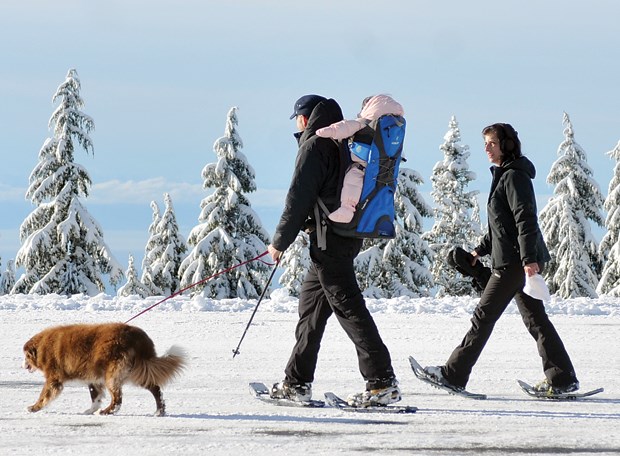 Mount Seymour