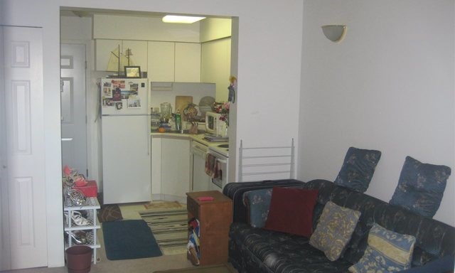 1. 209-4990 Mcgeer Street (Collingwood) - $179,900